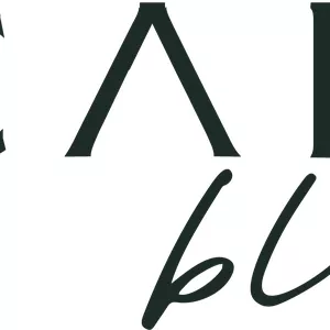 Imagem de capa para o Curso online Scale Balck