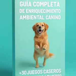 Imagen de portada para Curso online GUÍA COMPLETA DE ENRIQUECIMIENTO AMBIENTAL CANINO