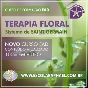 Imagem de Formação no Sistema de Saint Germain criado por Casa do Terapeuta / Escola Raphael na hotmart