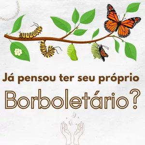 Imagem do curso Meu primeiro Borboletário