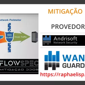 Imagem de capa para o Curso online Wanguard Andrisoft mitigação ataques DDoS