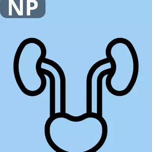 Imagen de portada para Ebook Metodo NP