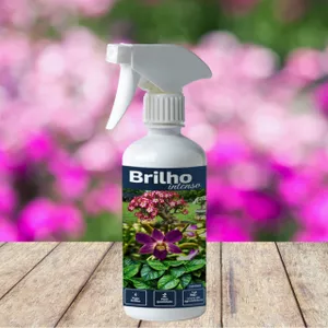 Imagem de capa para o Curso online Brilho Intenso 