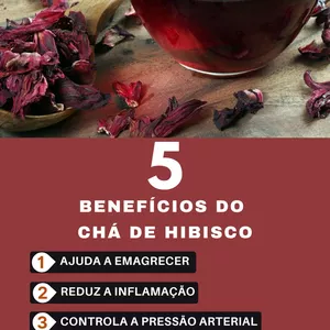 Imagem de capa para o Ebook 5 BENEFÍCIOS DO CHÁ DE HIBISCO