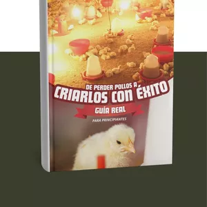 Imagen de portada para Ebook De perder pollos, a criarlos con éxito - Guía  