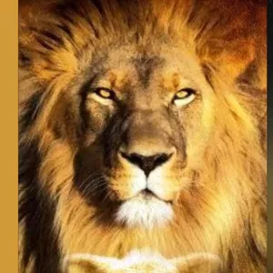 Imagem de capa para o Ebook Gospel