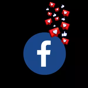 Imagem de capa para o Curso online Face Ads