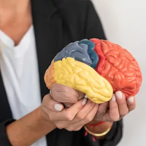 Imagen de portada para Curso online Mentalidad GranDiosa