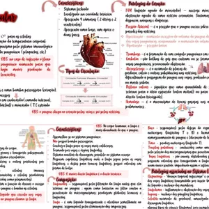 Imagem de capa para o Ebook MAPA MENTAL- SISTEMA CARDIOVASCULAR