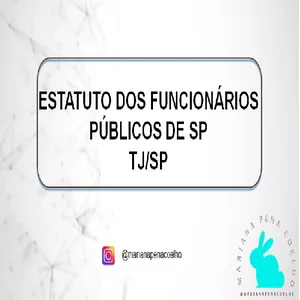 Imagem de capa para o Ebook ESQUEMATIZANDO ESTATUTO DOS FUNCIONÁRIOS PÚBLICOS CIVIS DE SP - CONCURSO ESCREVENTE TJSP