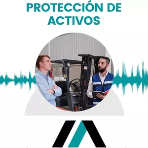 Imagen de portada para Curso online Protección de Activos