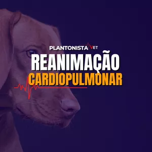 Imagem do curso Reanimação Cardiopulmonar - Segundo Protocolo RECOVER
