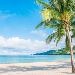 Imagem de capa para o Curso online Sistema DBGIA