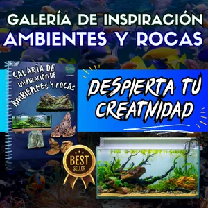 Imagen de portada para Ebook Galería de Inspiración de Ambientes y Rocas más fascinantes para Transformar tu Acuario