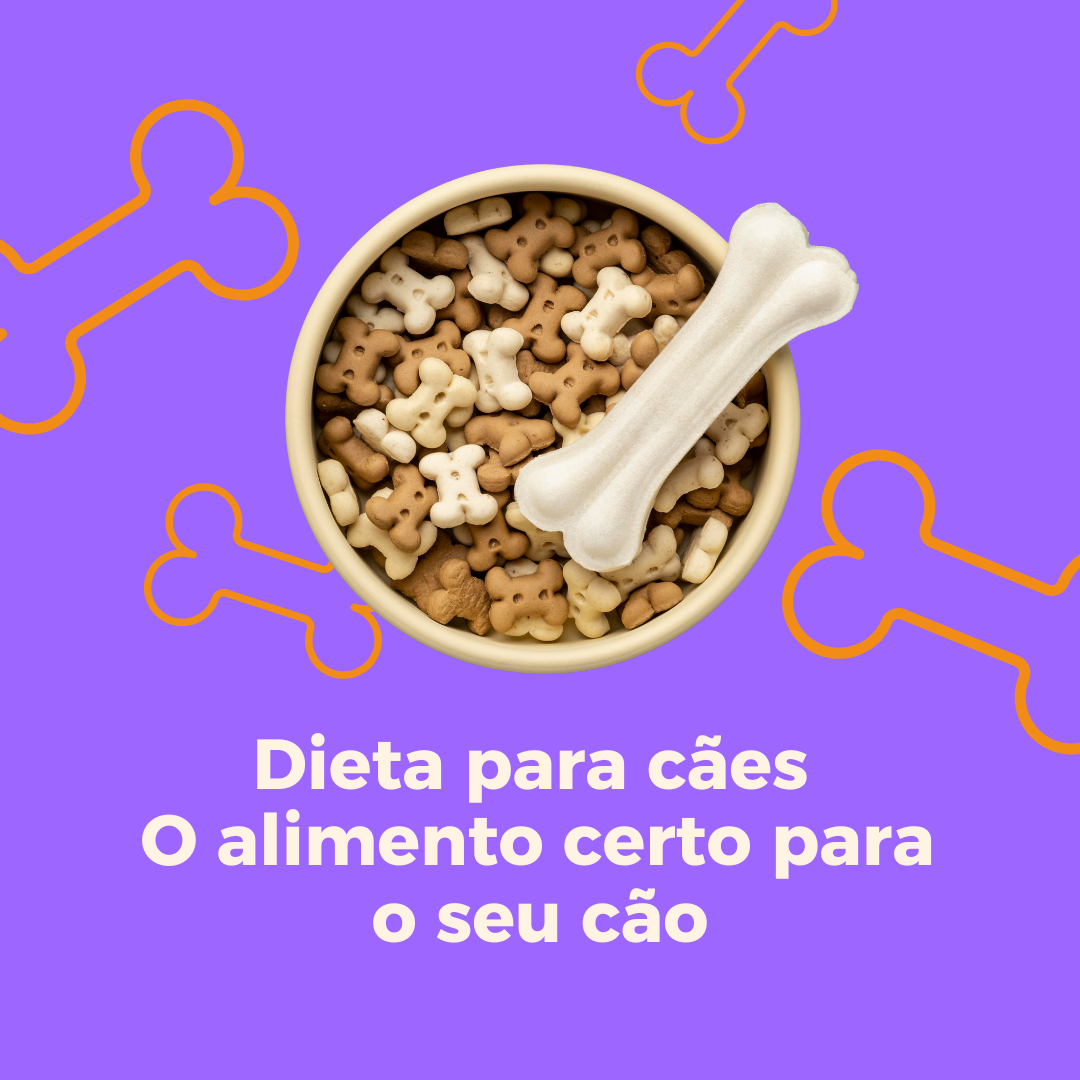 Curso Dieta para cães – O alimento certo para o seu cão