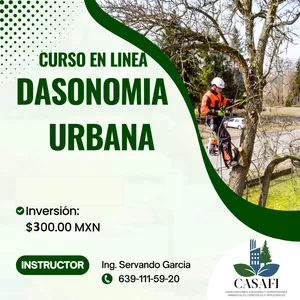 Imagen de portada para Curso online Curso Intensivo de Dasonomía Urbana 