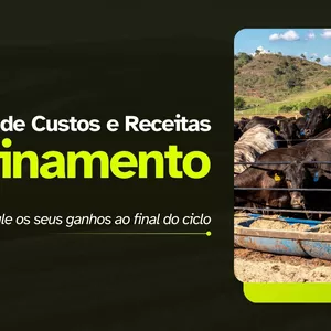 Imagem de capa para o Ebook Planilha de Gestão de Confinamento
