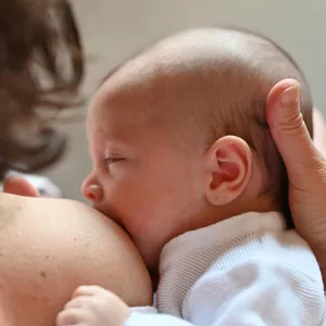 Imagem de capa para o Curso online A pega