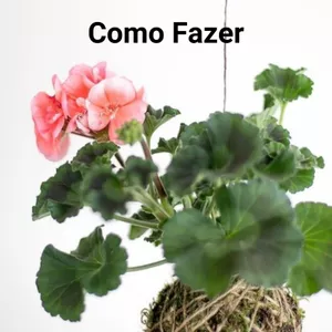 Imagem do curso KOKEDAMA 