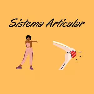 Imagem de capa para o Ebook Uma revisão básica sobre o sistema articular