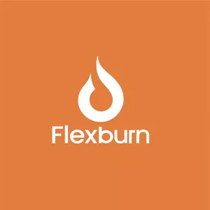 Imagem de capa para o Ebook Flexburn