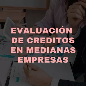 Imagen de portada para Curso online Evaluación de Créditos en Medianas Empresas