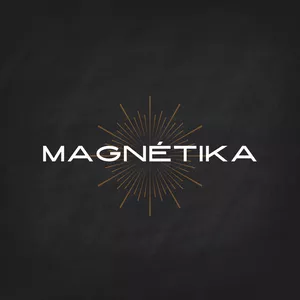 Imagem do curso Magnetika: Aprenda a usar seu Instagram de forma profissional