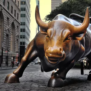Imagem do curso Trading Telas Operacionais