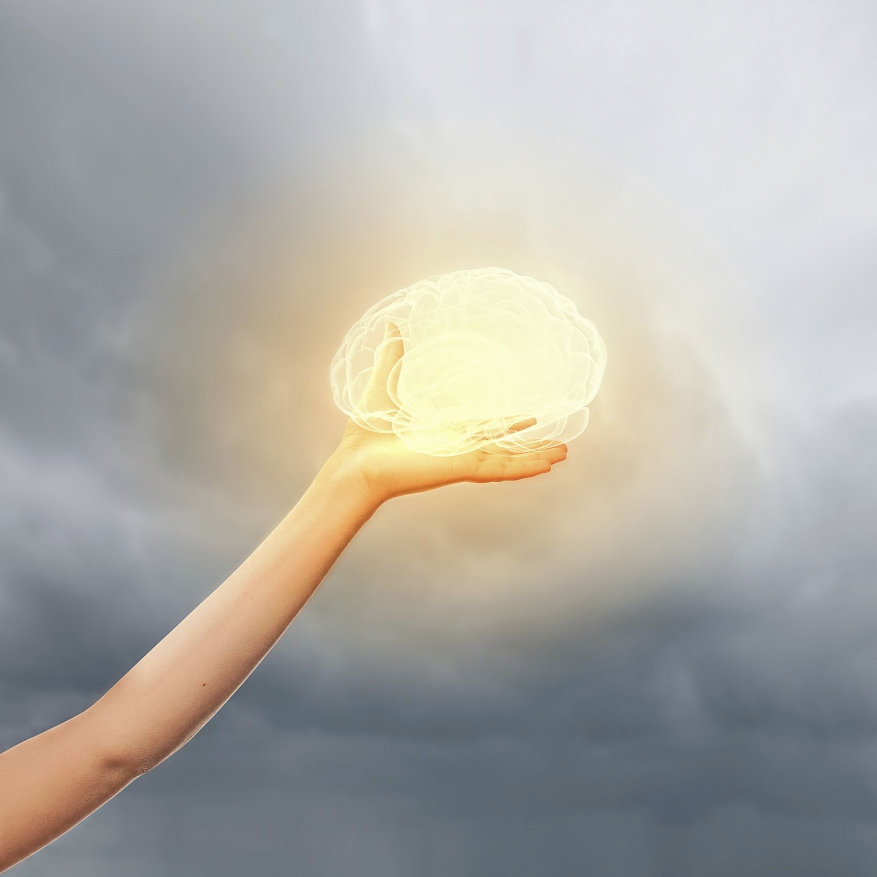 The Society of Magnificent Minds