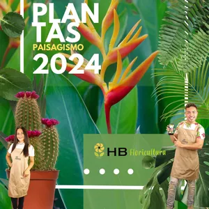 Imagem de capa para o Ebook Assine EDIÇÃO 2024 e Seja o Primeiro a Receber