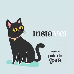 Imagem de capa para o Curso online InstaVet | +100 posts com conteúdo veterinário pronto, para Vet's e clínicas vet. 