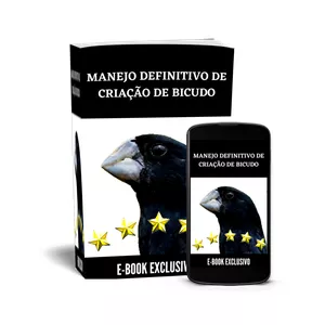 Curso Bicudo Campeão