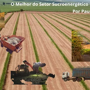 Imagem de capa para o Ebook O Melhor do Setor Sucroenergético Brasileiro - Pt