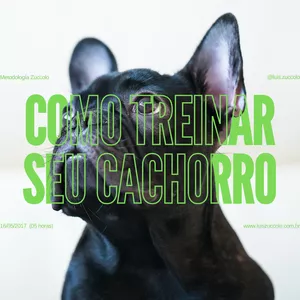Imagem do curso (01º CURSO ONLINE) COMO TREINAR SEU CACHORRO - ADESTRAMENTO BÁSICO