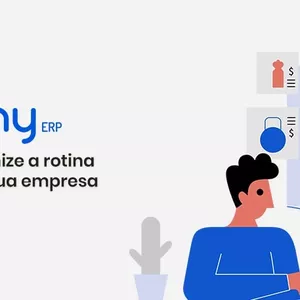 Imagem de capa para o Serviço online Consultoria e Implantação Tiny ERP