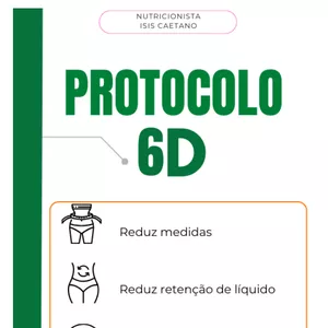Imagem de capa para o Ebook Protocolo 6D