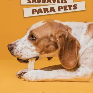 Imagem do curso Alimentos saudáveis para Pets