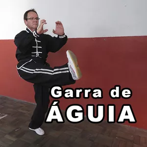 Imagem de capa para o Curso online Kung Fu Garra de Águia3 -"Aproximar Corpo"