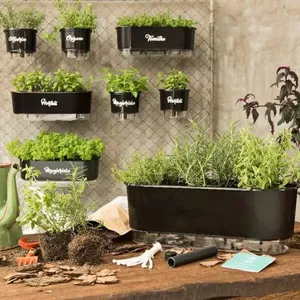 Imagem de capa para o Curso online Hortas em Vasos: O Guia Completo