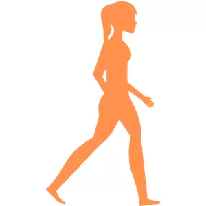 Cover image for Ebook Walk fit