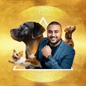 Imagem de capa para o Curso online Educadores de Cães Brasil