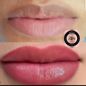 Curso Curso living lips .LÁBIOS COM TEBORI 