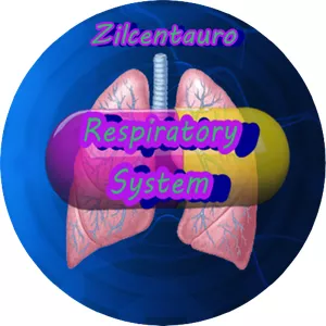 Cover image for Online course Respiratory System By Zilcentauro