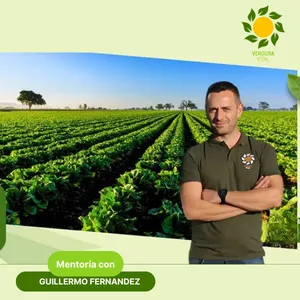 Imagen de portada para Curso online Mentoría con Guille