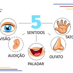 Imagem de capa para o Ebook 5 SENTIDOS