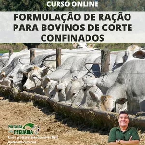 Imagem de Curso Formulação de ração para bovinos de corte confinados criado por PORTAL DA PECUÁRIA na hotmart
