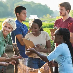 Imagem de capa para o Curso online Benefícios, Desafios e Tendências do Voluntariado