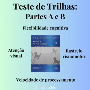Imagem de capa para o Curso online Teste de Trilhas: Partes A e B - Teste Cognitivo