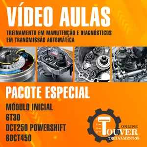 Imagem de capa para o Curso online Pacote Especial com 4 Modelos Vídeo Aulas