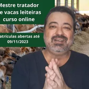 Imagem de capa para o Curso online Mestre tratador de vacas leiteiras